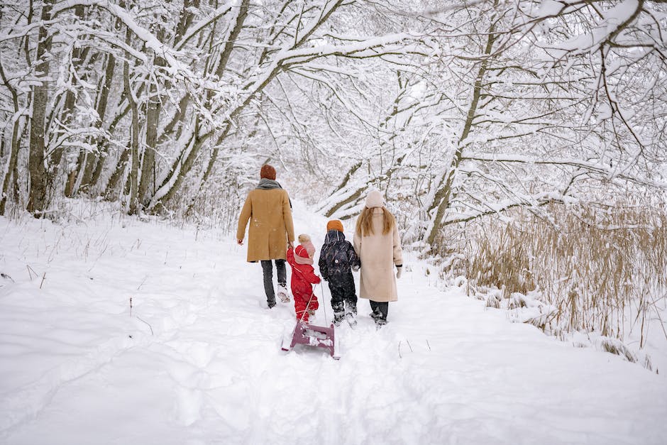 Image of a family dressed in winter clothing, walking in the snow