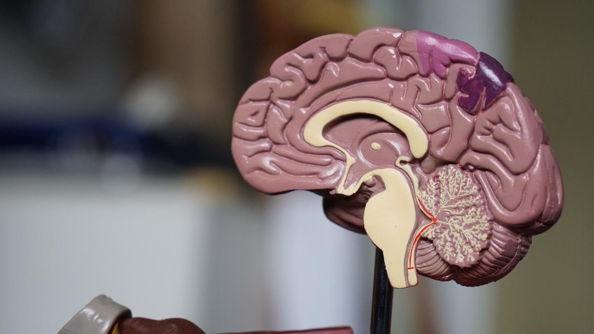 Image describing various risk factors associated with dementia, including lifestyle habits, environmental influences, and medical conditions