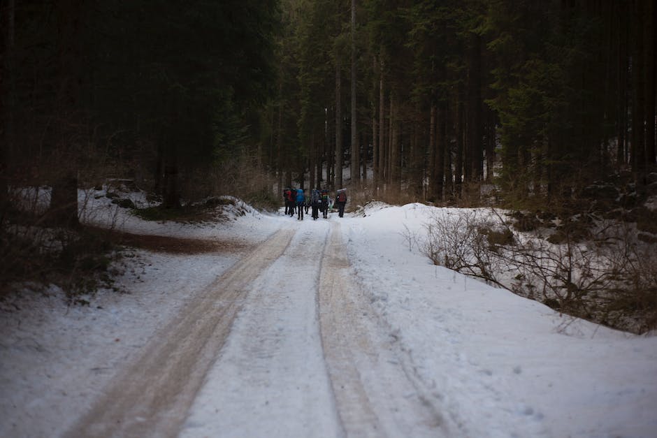 A person walking cautiously on an icy path, demonstrating safe walking on icy surfaces.