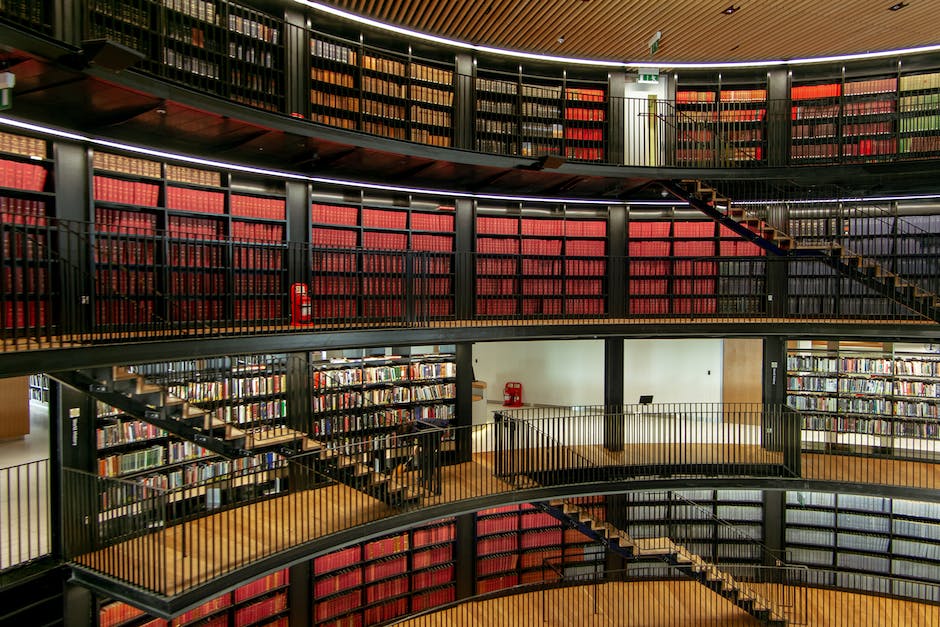 Image illustrating public libraries as a space for open access to information, fostering democracy and civil discourse in the community.