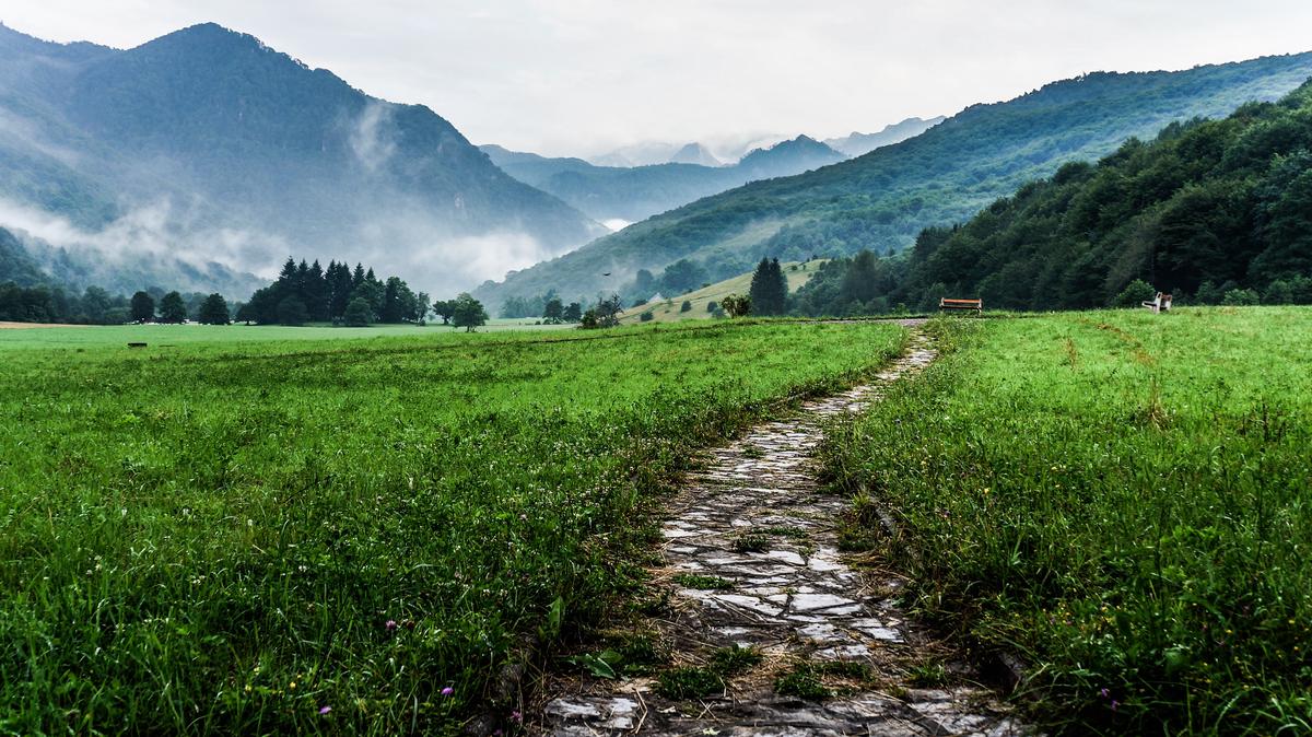 Image of someone stepping onto a different path representing the shift from project to program management.