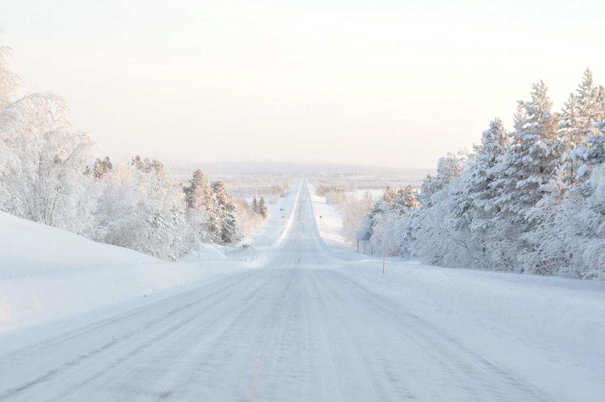 Snow-dusted landscapes with a winter road, showcasing the beauty of Canada's winter landscapes
